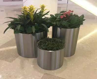 绿植租赁公司电话